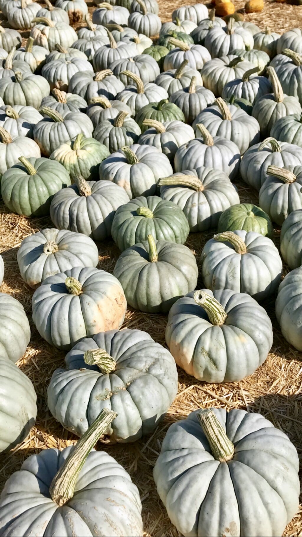 8F98B3F7-BCB2-4063-A59C-BC30EE806618